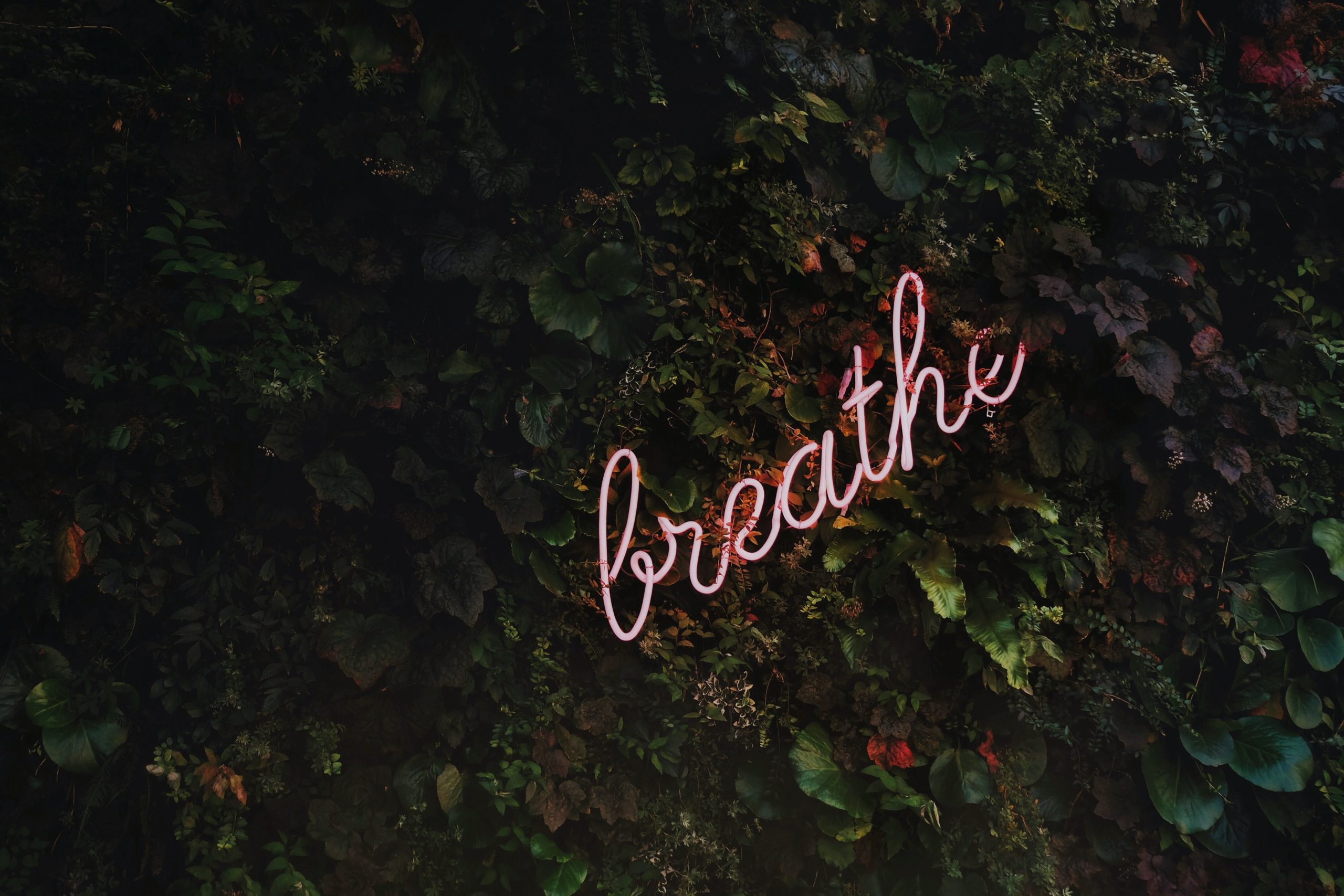 10 Ways To Regulate for Wellbeing